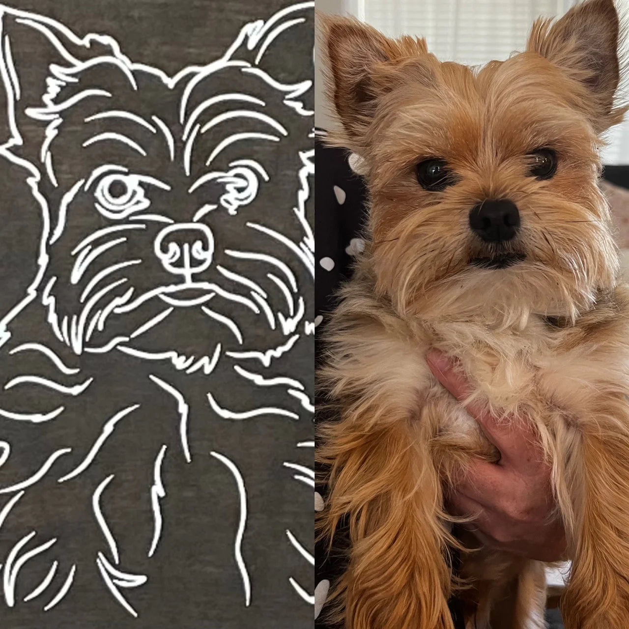 05/29/25 - Paint Your Pet Workshop - 6PM