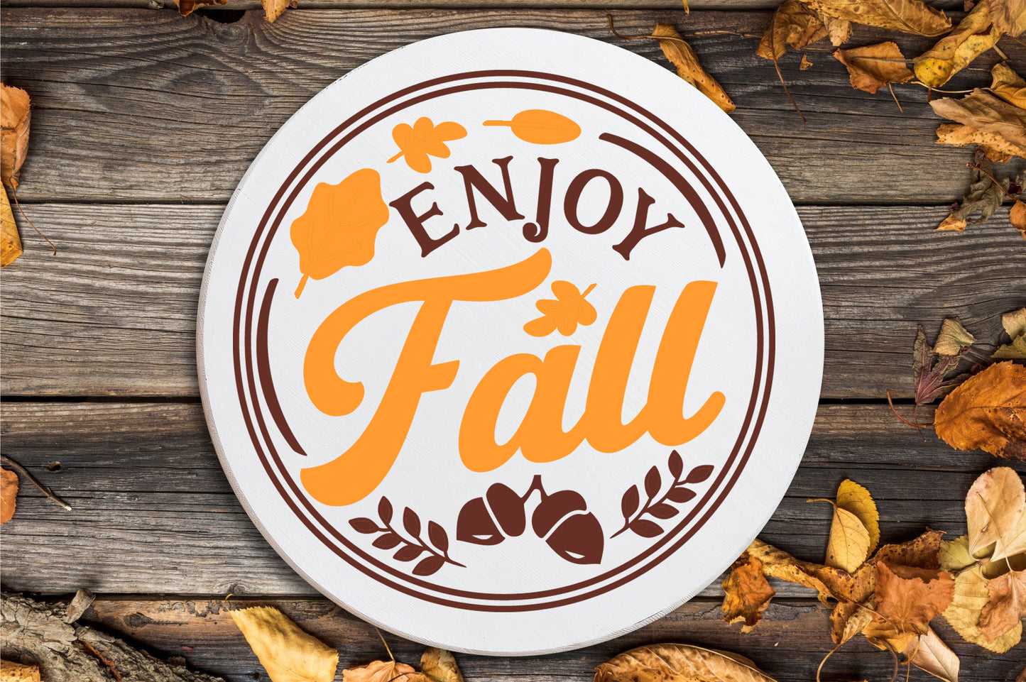 Fall Gallery