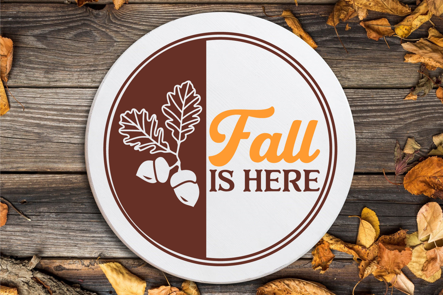 Fall Gallery