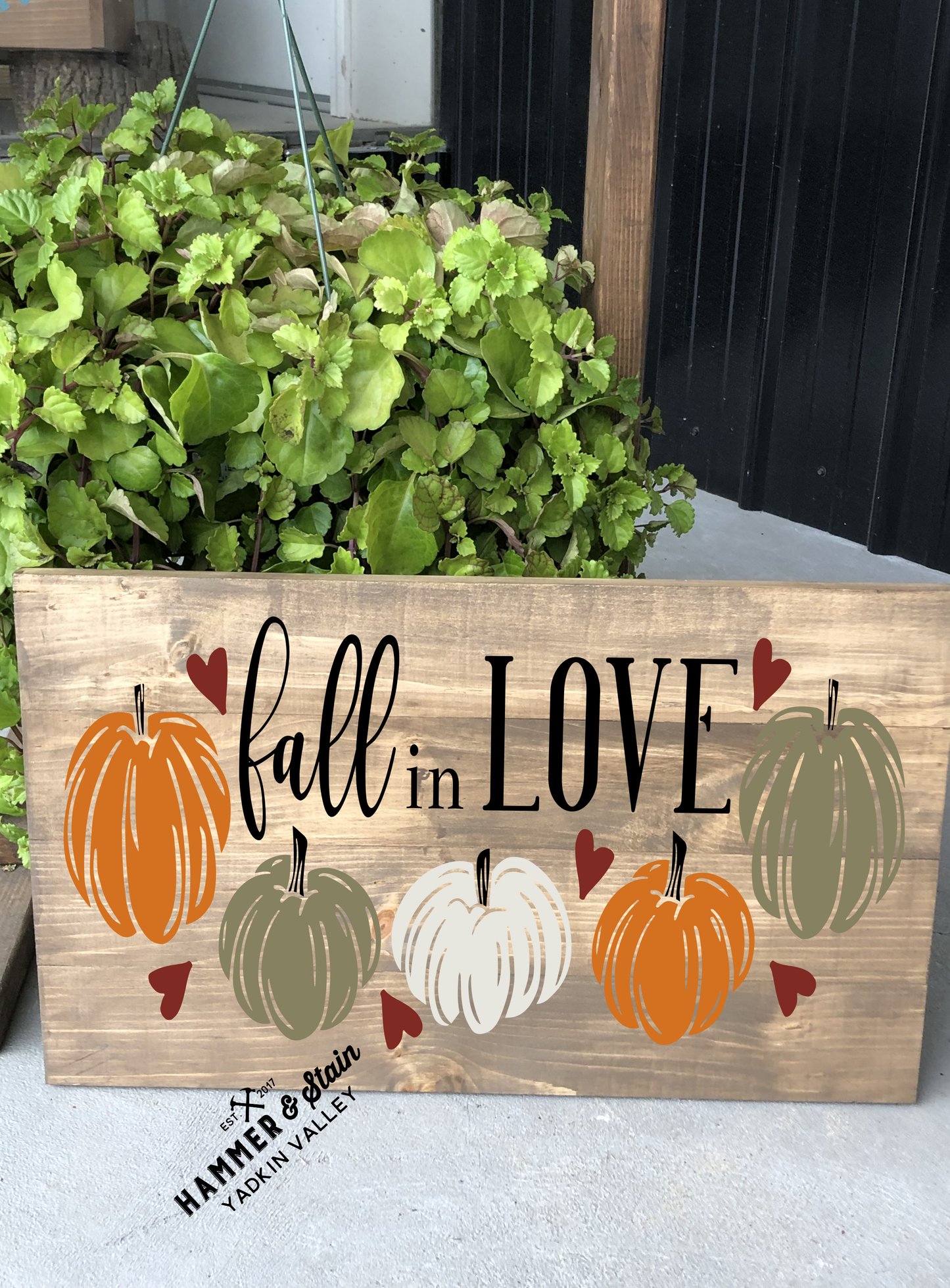 Fall Gallery