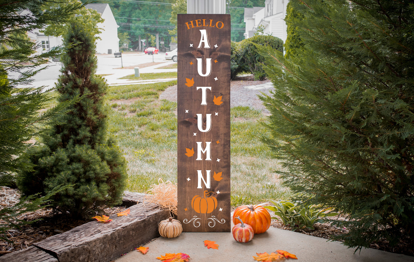Fall Gallery