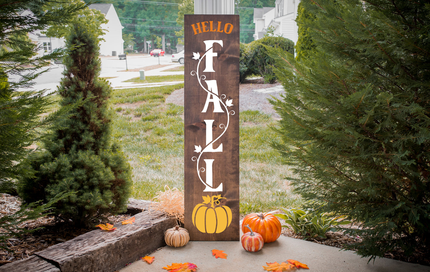 Fall Gallery