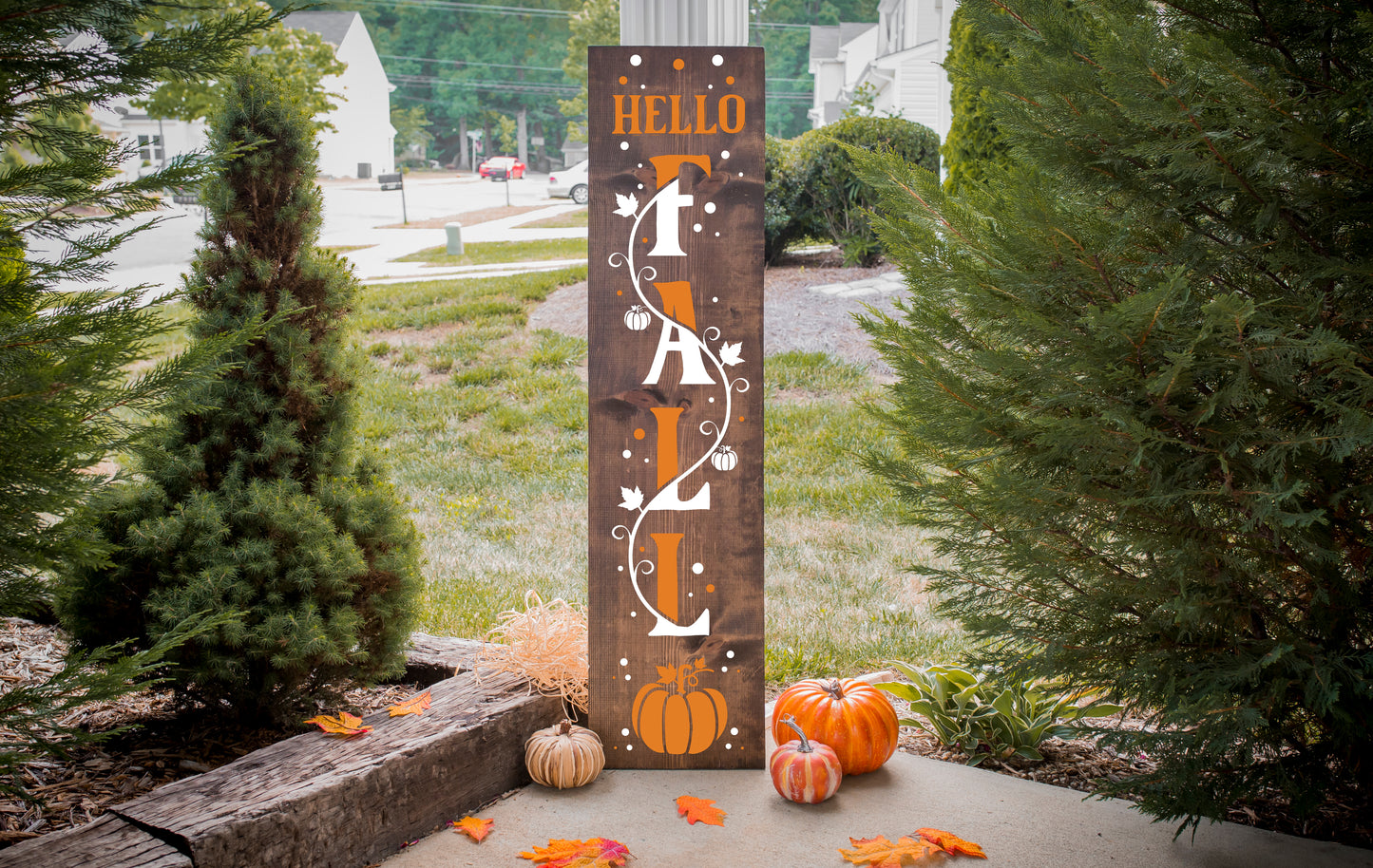 Fall Gallery