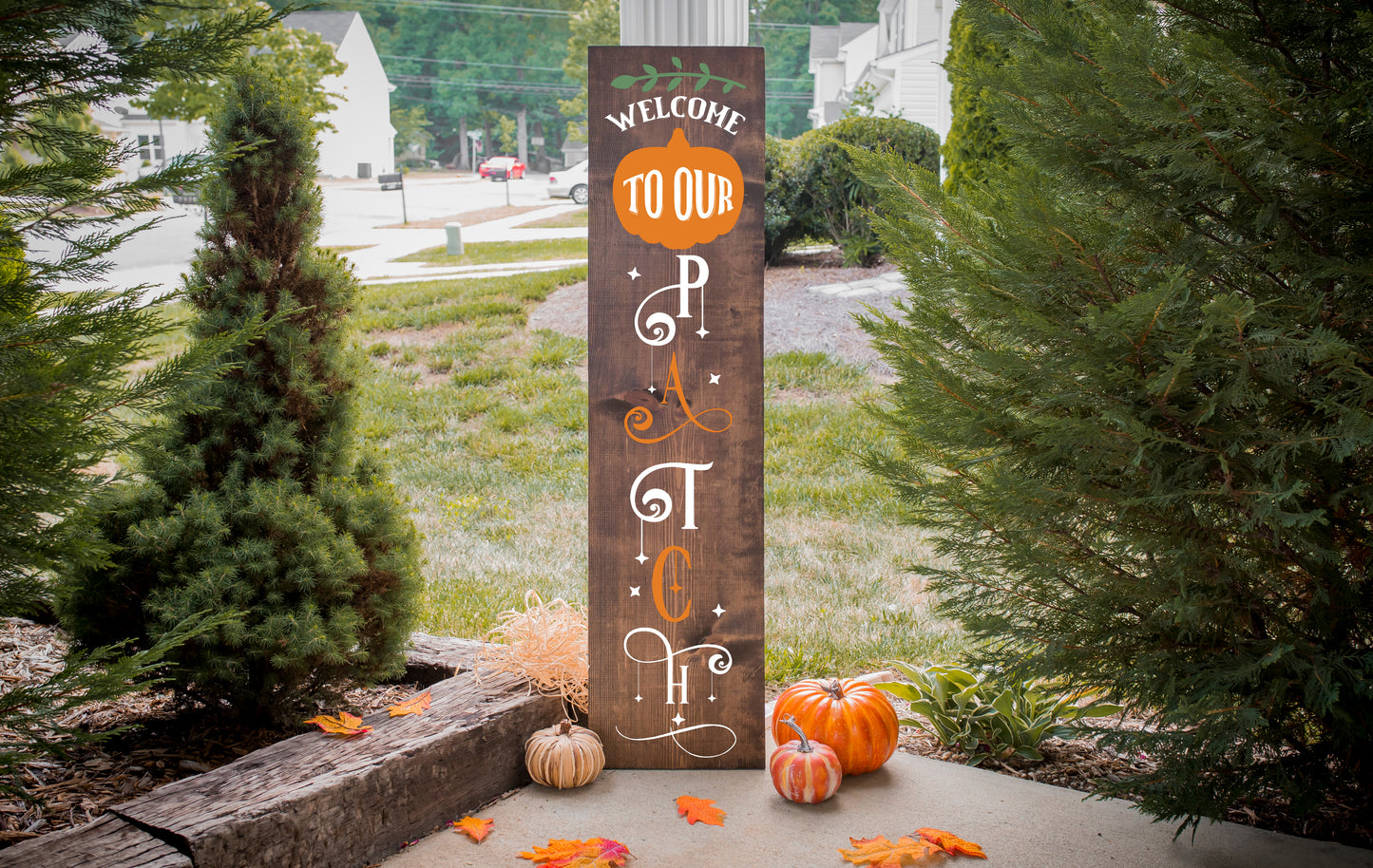 Fall Gallery