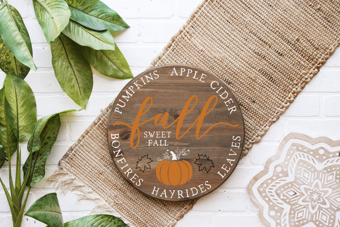 Fall Gallery