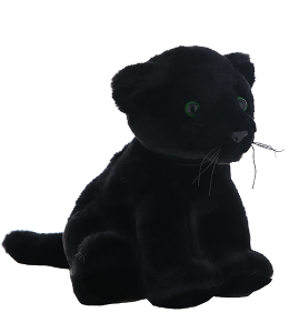 01/30/26 - Shrewsbury Elementary PTO Fundraiser - 6PM