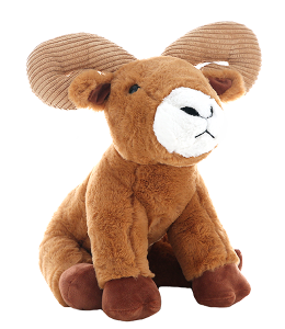 01/30/26 - Shrewsbury Elementary PTO Fundraiser - 6PM