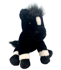 01/30/26 - Shrewsbury Elementary PTO Fundraiser - 6PM