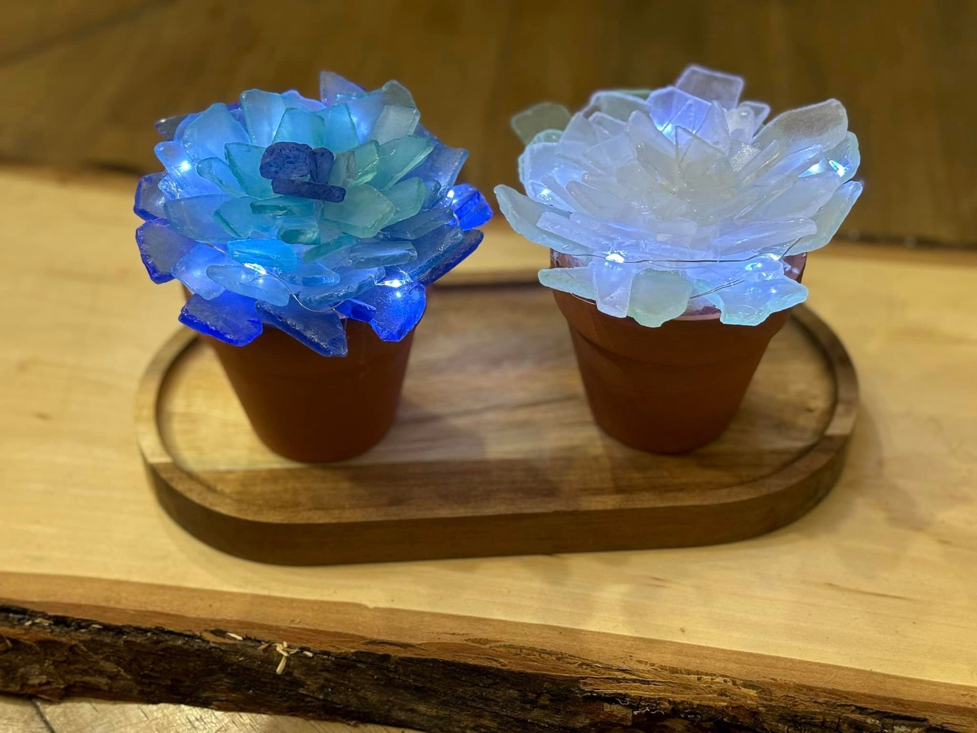 artificial blue succulents Sea Glass Succulents – Hammer and Stain Shrewsbury