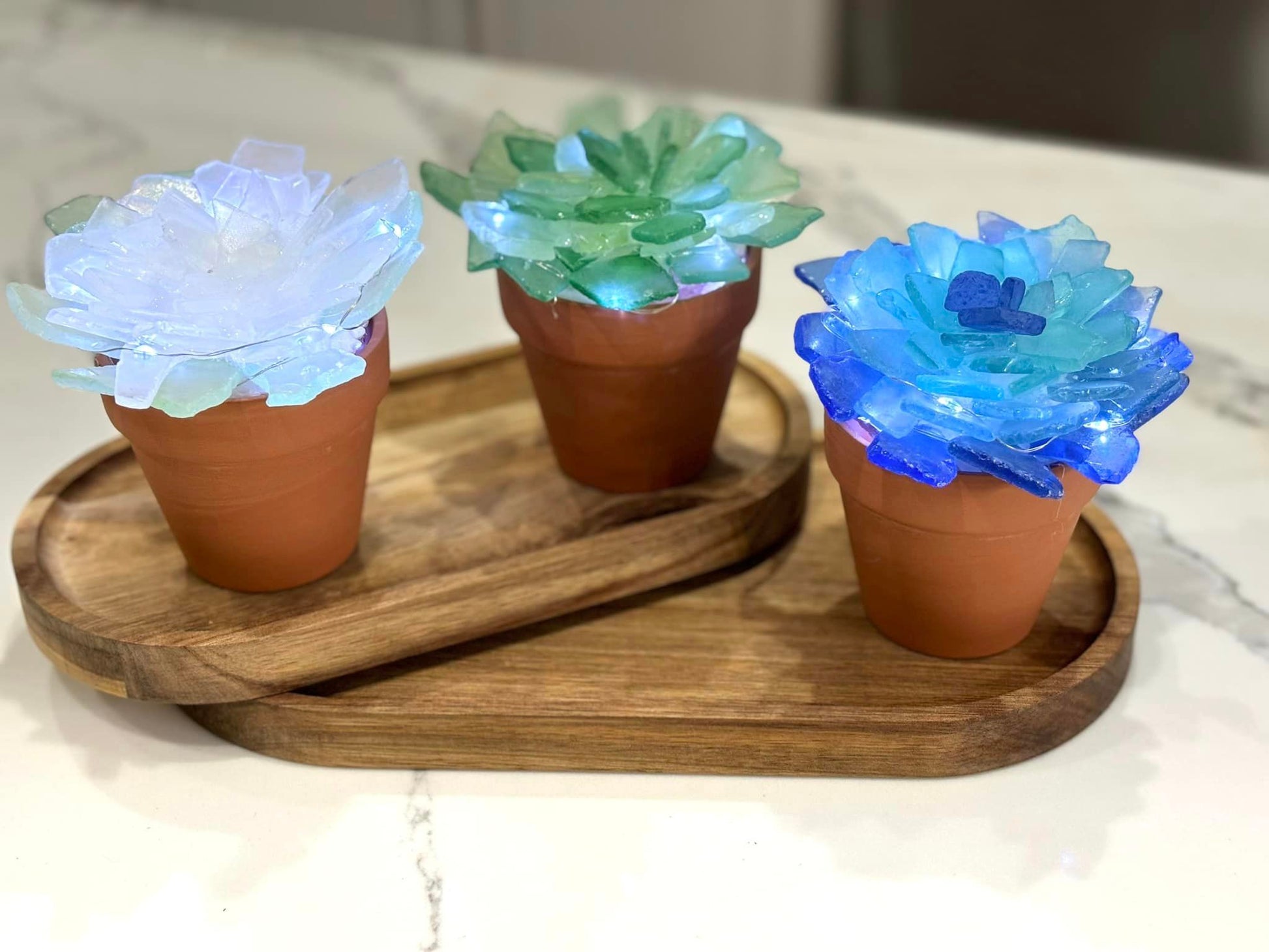 resin succulent pot Sea Glass Succulents – Hammer and Stain Shrewsbury