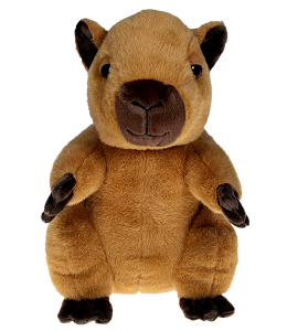 01/30/26 - Shrewsbury Elementary PTO Fundraiser - 6PM