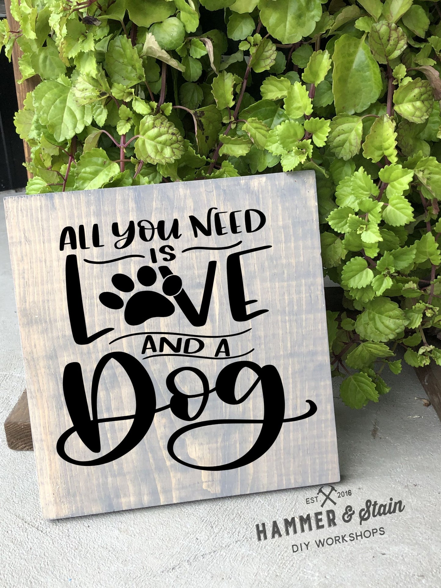 12/09/25 - Dogs and Dog Danas - 6PM