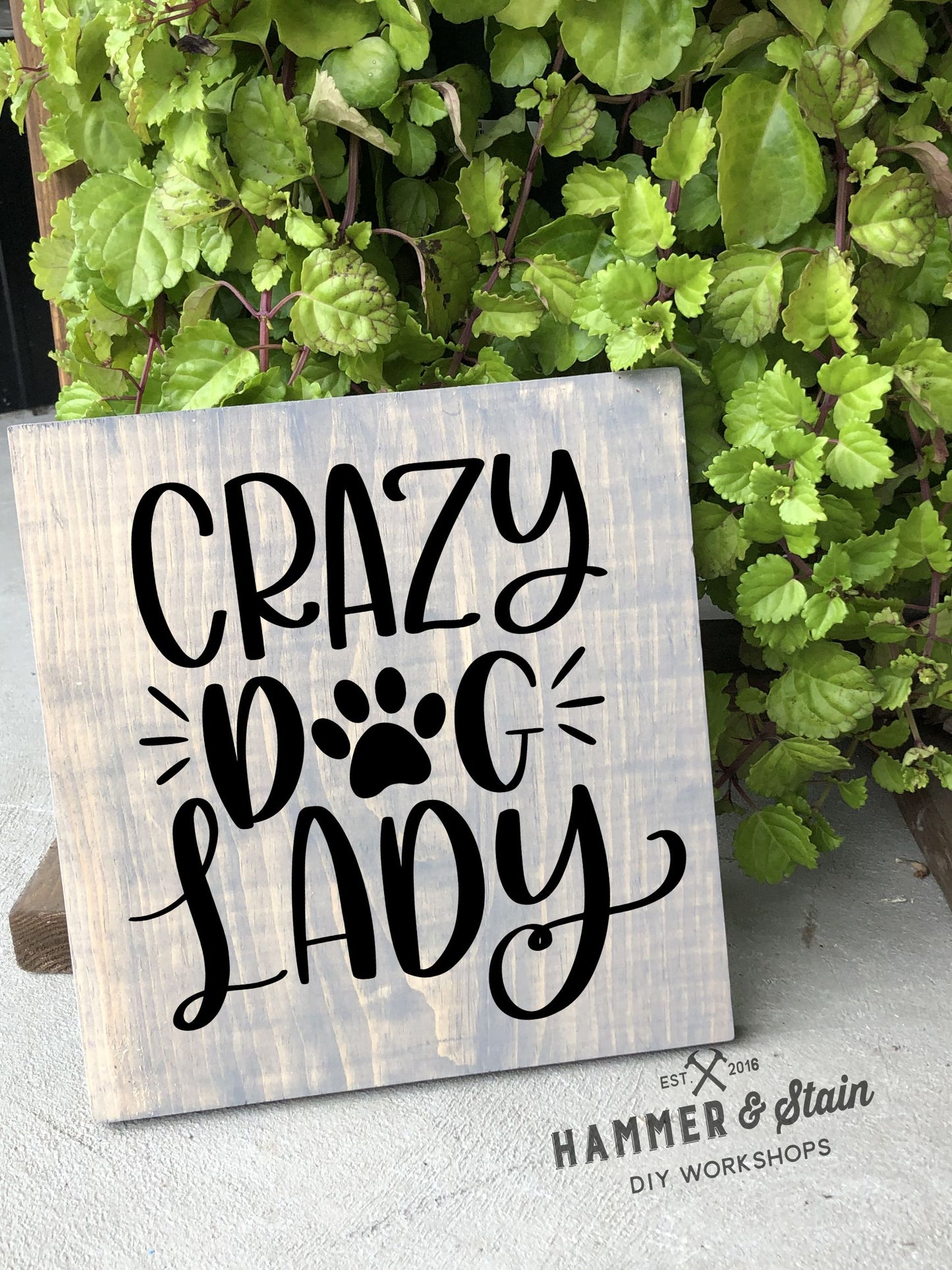 12/09/25 - Dogs and Dog Danas - 6PM