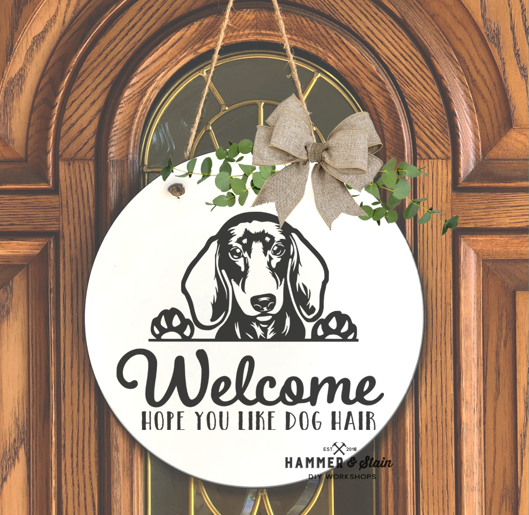 12/09/25 - Dogs and Dog Danas - 6PM