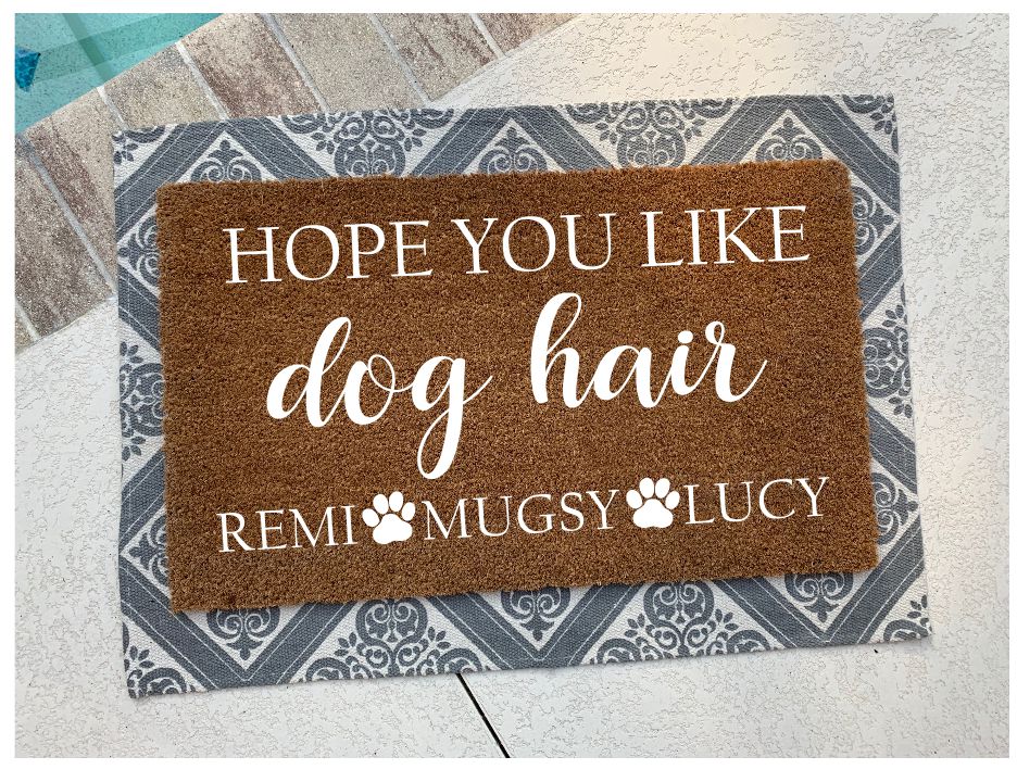 12/09/25 - Dogs and Dog Danas - 6PM