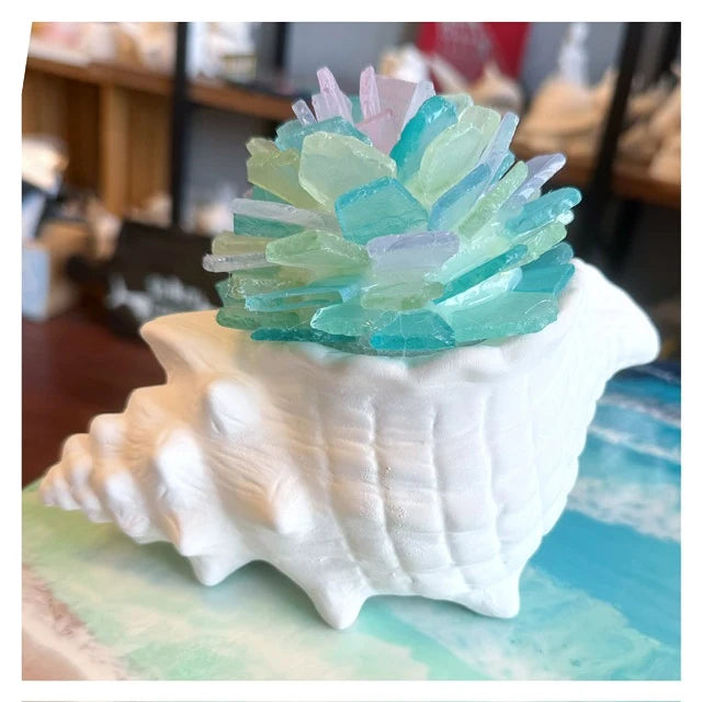 Hammer @ Home | Sea Glass Succulents in Ceramic Pots