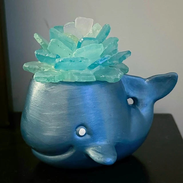 Hammer @ Home | Sea Glass Succulents in Ceramic Pots