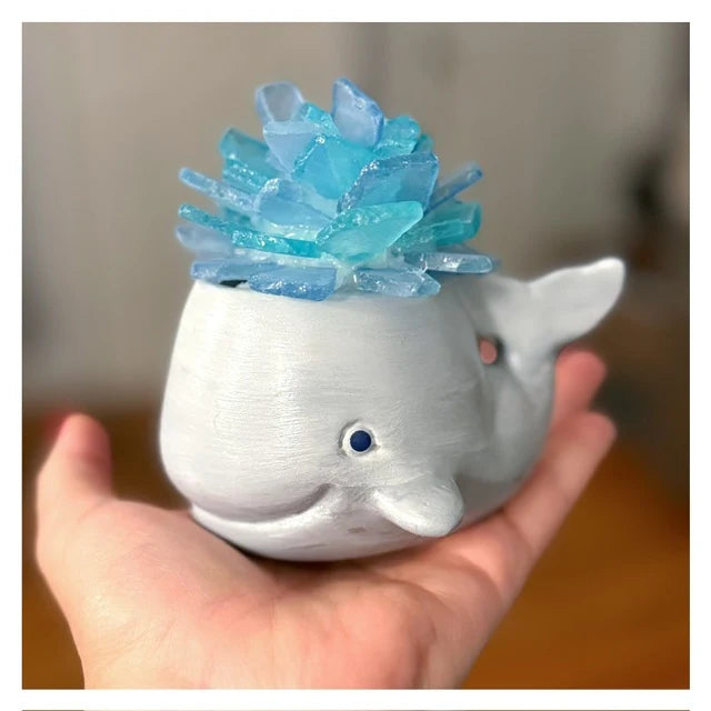 Hammer @ Home | Sea Glass Succulents in Ceramic Pots