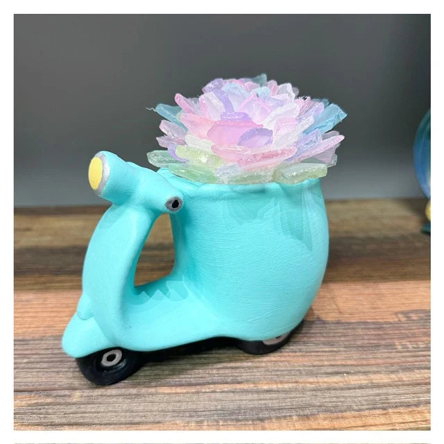 Hammer @ Home | Sea Glass Succulents in Ceramic Pots