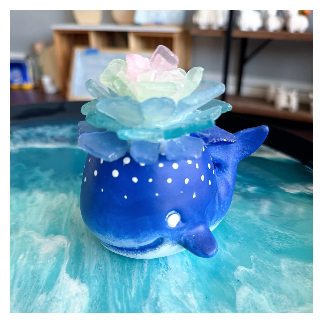 Hammer @ Home | Sea Glass Succulents in Ceramic Pots