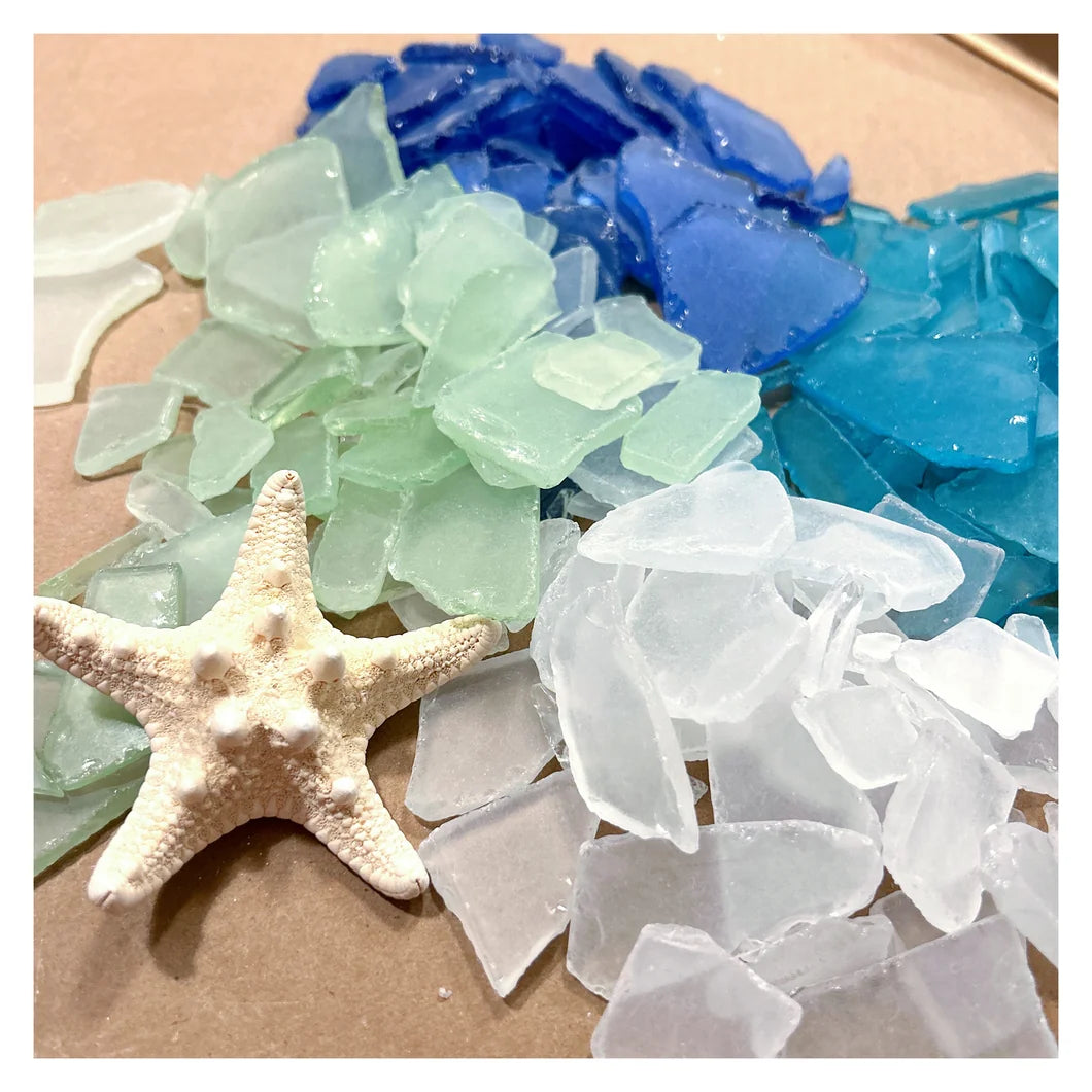 Hammer @ Home | Sea Glass Succulents in Ceramic Pots