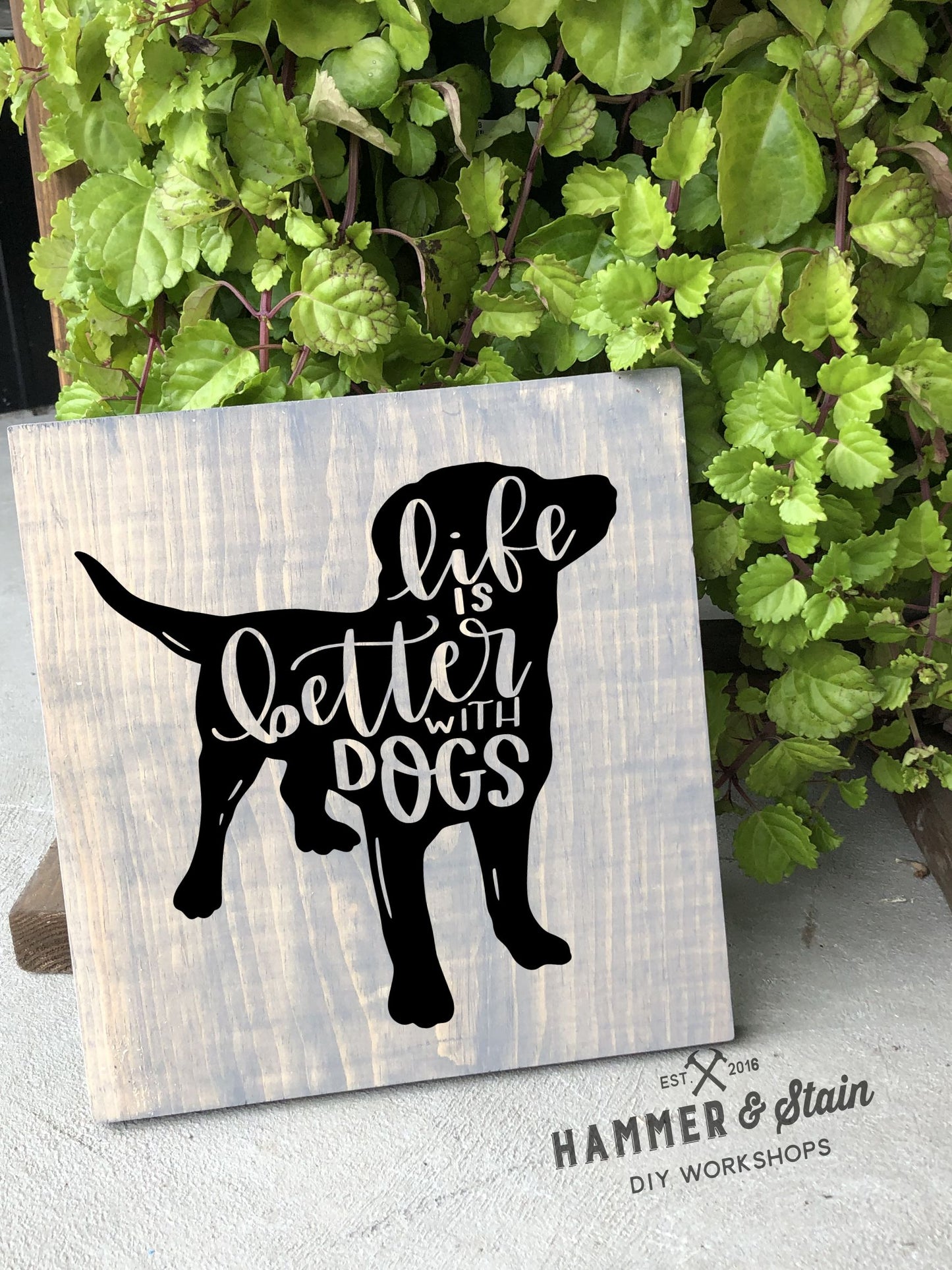 12/09/25 - Dogs and Dog Danas - 6PM