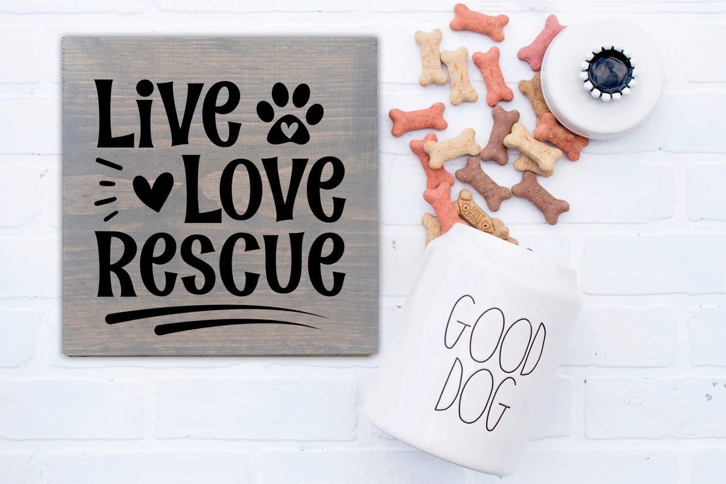 12/09/25 - Dogs and Dog Danas - 6PM