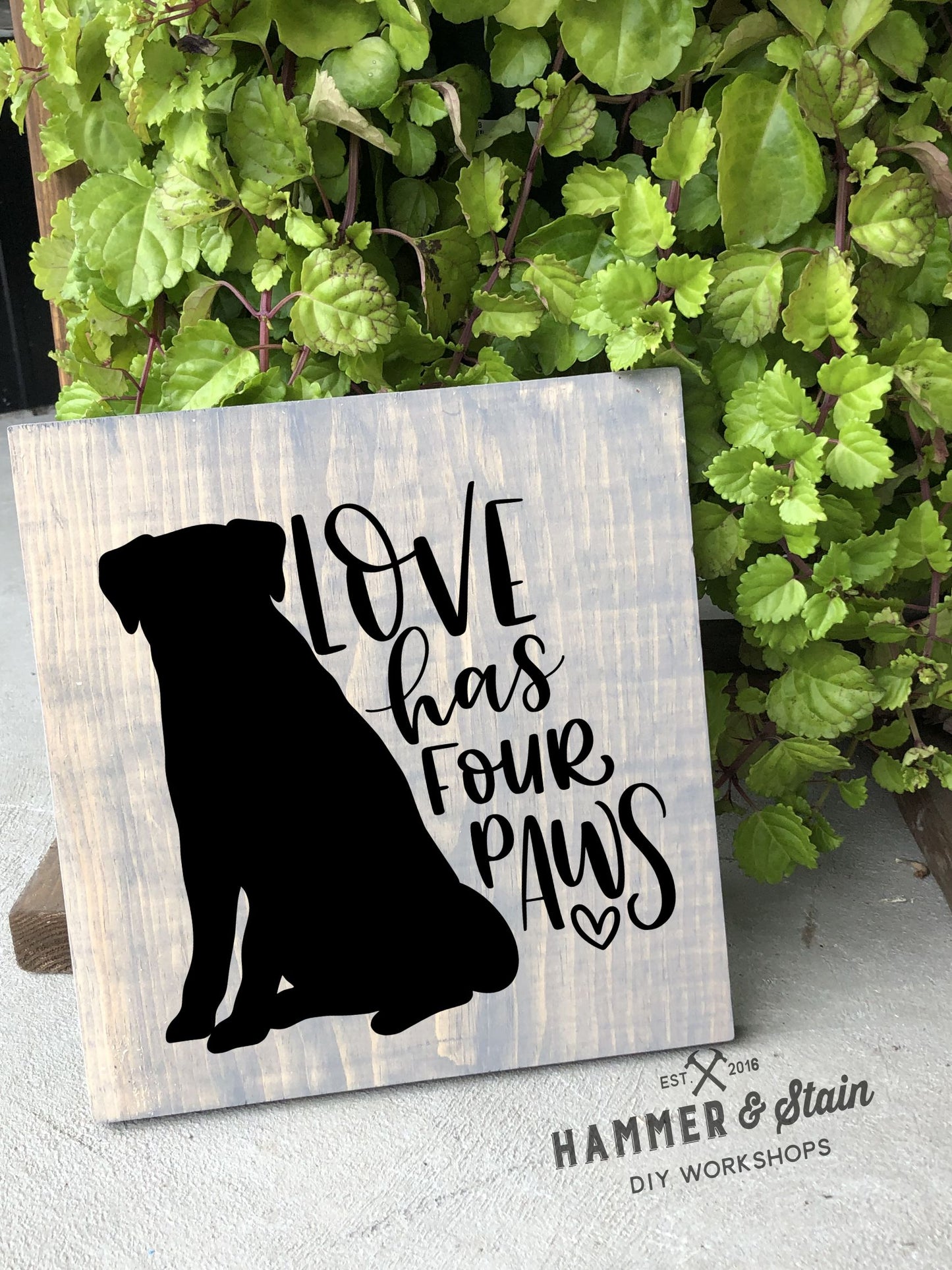 12/09/25 - Dogs and Dog Danas - 6PM