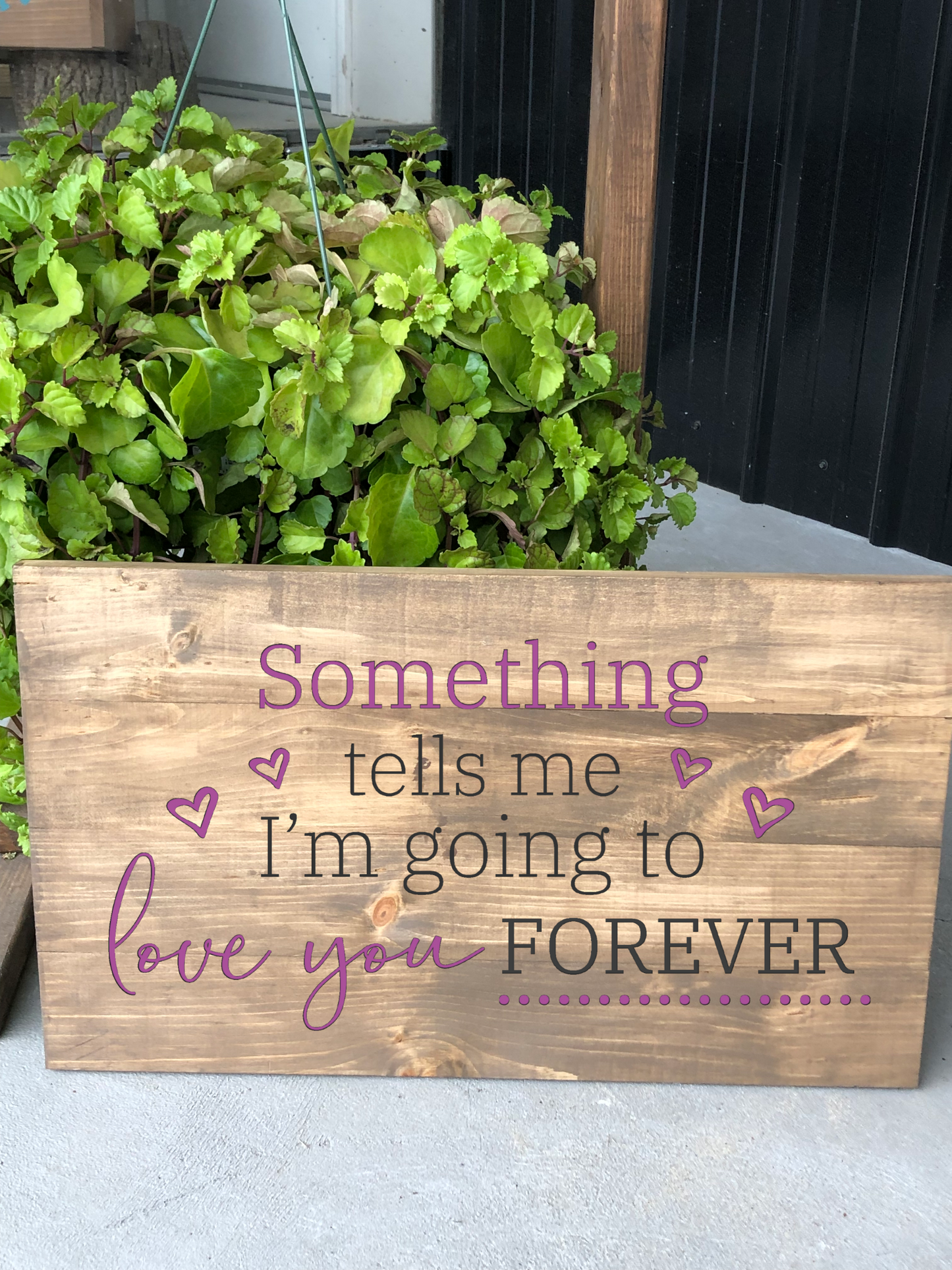 Valentine's Day Collection