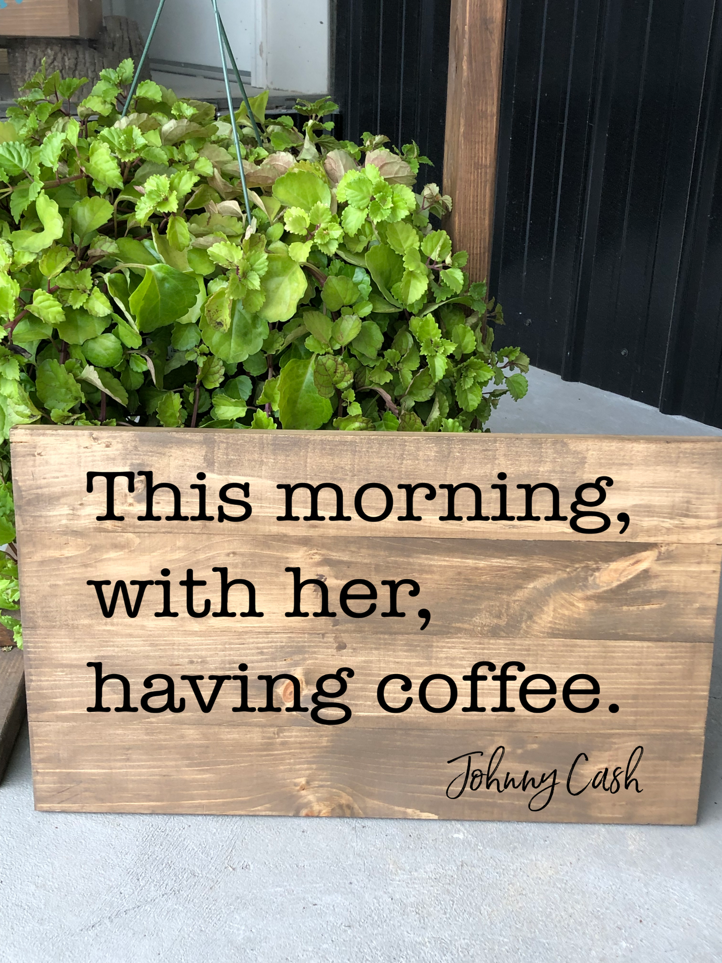 Valentine's Day Collection