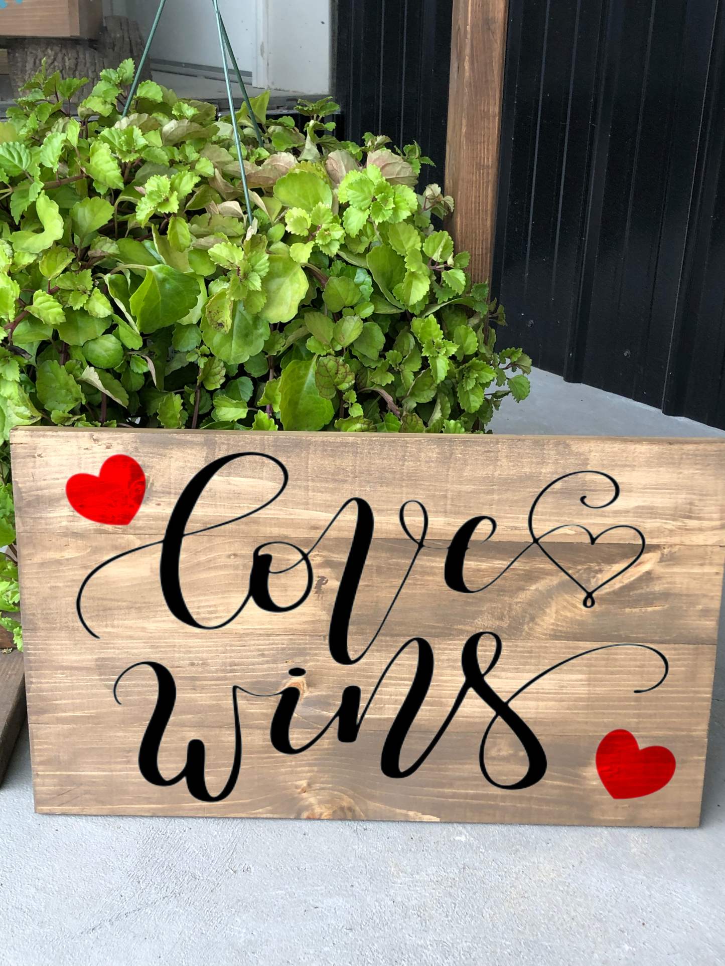 Valentine's Day Collection