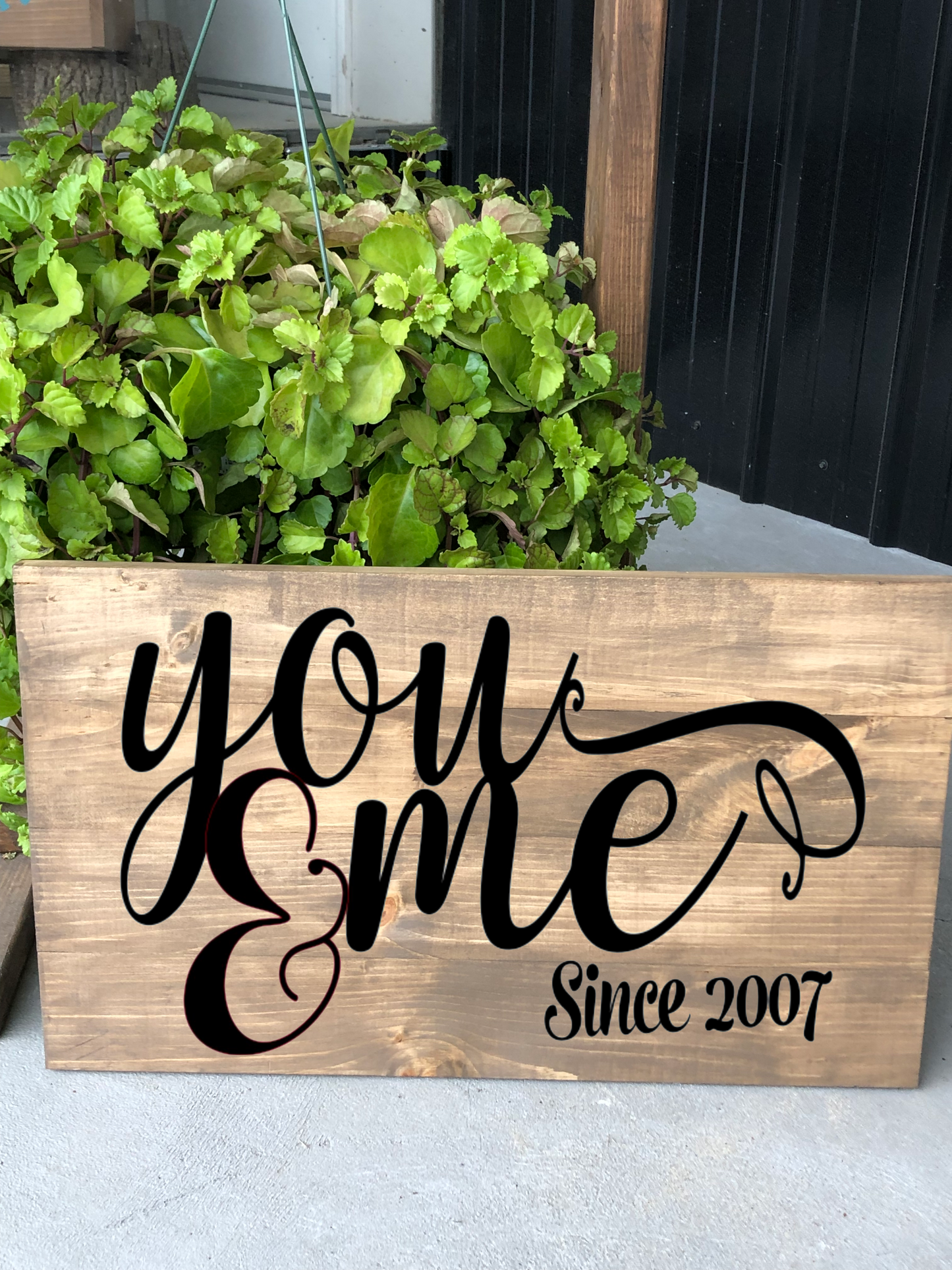 Valentine's Day Collection