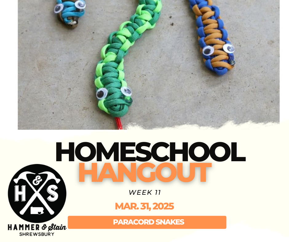 (MONDAY 10:30AM-12PM) HOMESCHOOL HANGOUT ART CLASS: JANUARY-MAY 2025