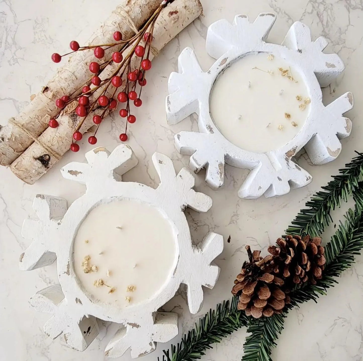 01/31/26 - Loop & Light - 11AM