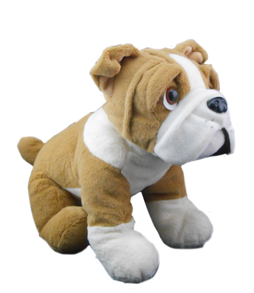 West York Elementary - Critter Mania Fundraiser